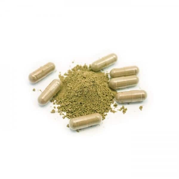 Phoria Borneo Red Vein Kratom Capsules 2