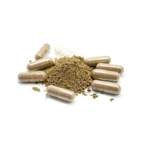 Phoria Red Dragon Kratom Capsules 2