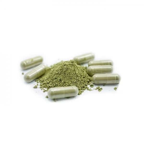 Phoria Gold Kratom Capsules 2